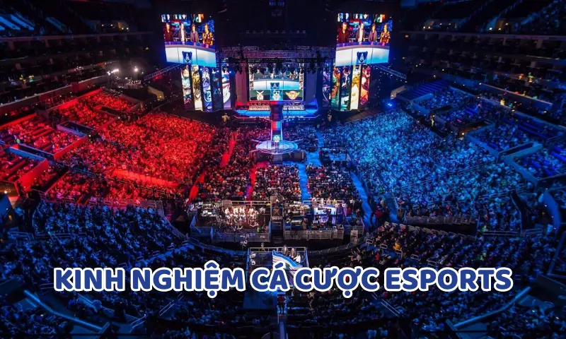 Hiểu về trò chơi và đội tham gia trận đấu trong Esports